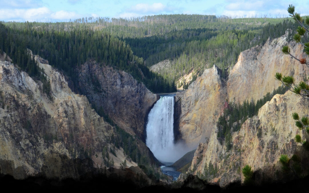 The Wild Idea That Began in Yellowstone