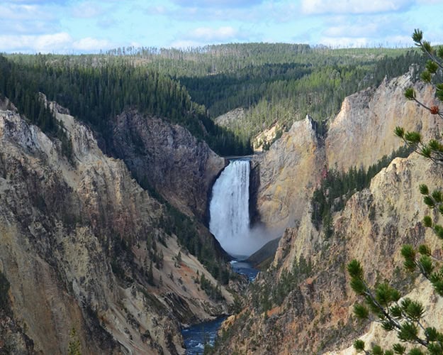 Grand Canyon Of Yellowstone4 Ss