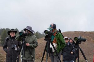 Hwl Yellowstone Group1