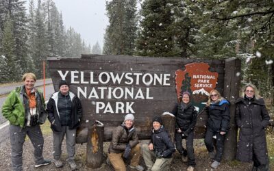 Why Is October the Best Time to Visit Yellowstone for Wildlife?
