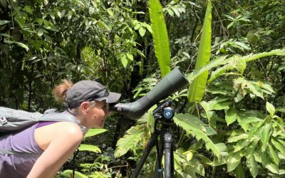 Best Time to Visit Costa Rica for Wildlife