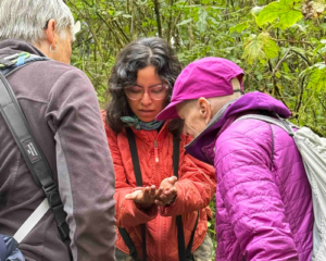 Monarch Butterflies Mexico With Her Wild Life Expeditions5