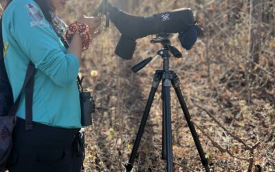 What to Expect on Your First Solo Wildlife Trip
