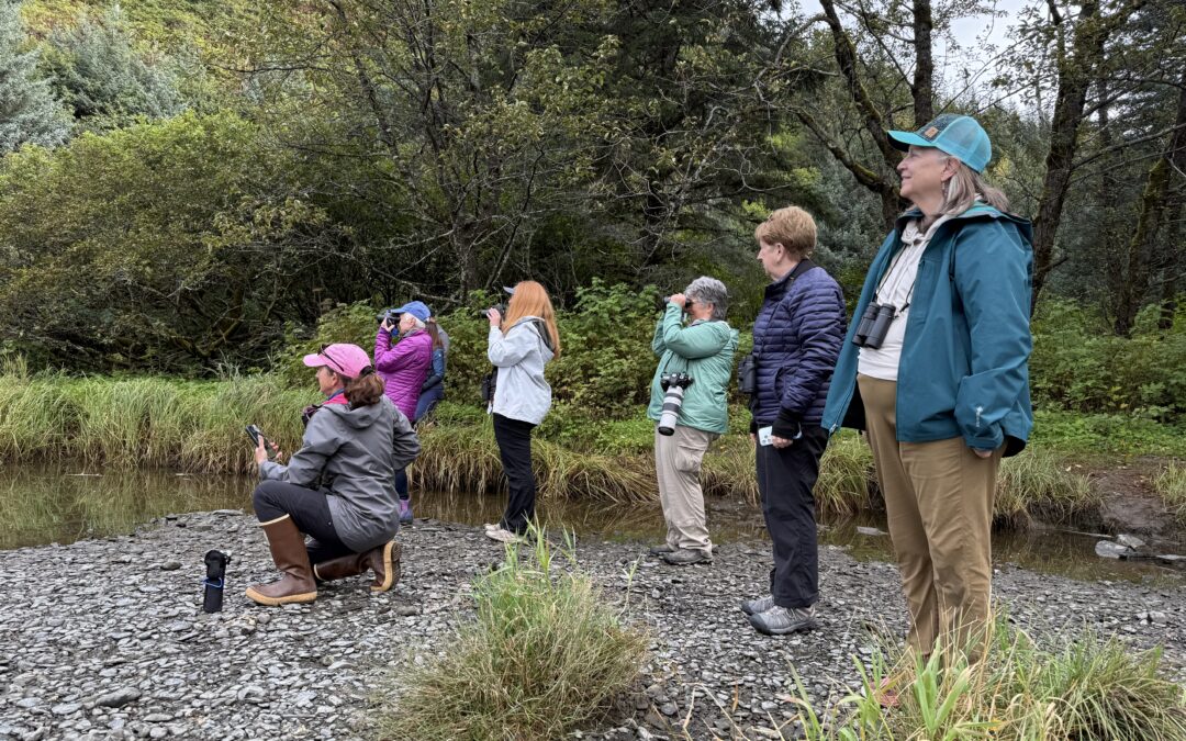 Do You Need Binoculars for Wildlife Travel?