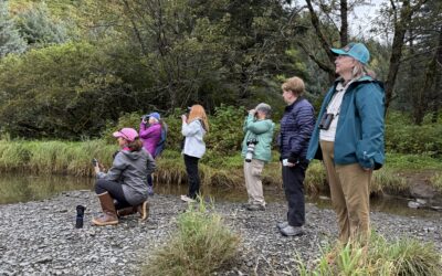 Do You Need Binoculars for Wildlife Travel?