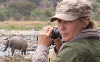 What I Learned Building Her Wild Life, Featured in Bold Journey Magazine