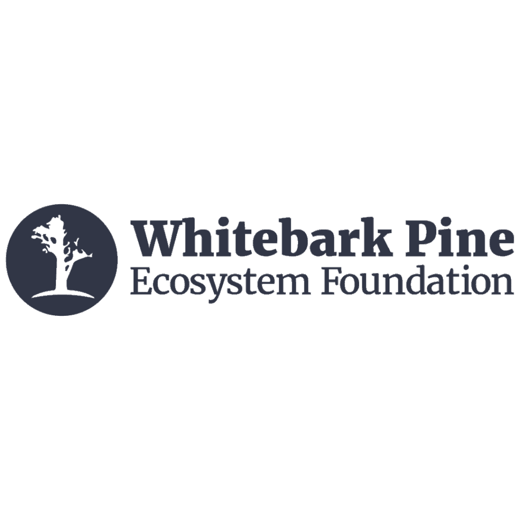 Whitebark Pine Ecosystem Foundation