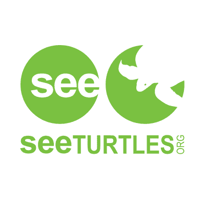See Turtles See Turtles