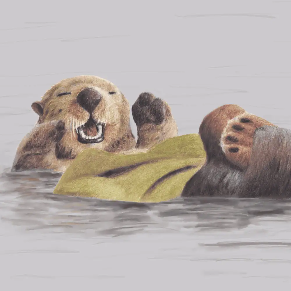 Sea Otter