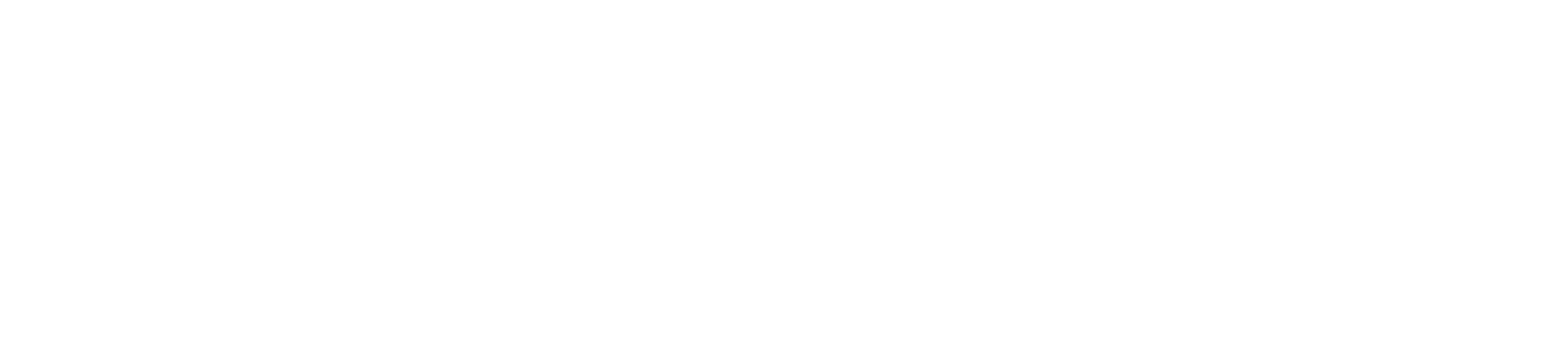 White Bottom Border White Bottom Border